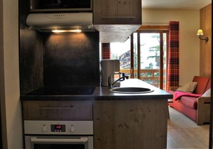 100m from ski slopes, 3rd floor, swimming pool, sauna, balcony, tv, ski locker, 30m², Risoul in Risoul
