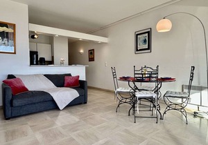 2-Room Apartment with Air Conditioning, Sleeps 4, 100m from the Beach in Villeneuve-Loubet