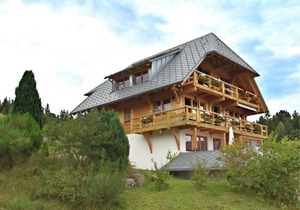 Malerische Erdgeschosswohnung in Dachsberg