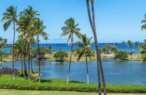 Kamuela Condo | Gorgeous Oceanfront Terrace Condo - Near Beach Club!