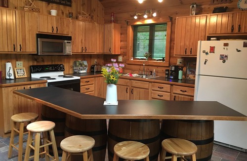 LaPorte Cabin | Log Cabin on Garfield Lake near Walker MN