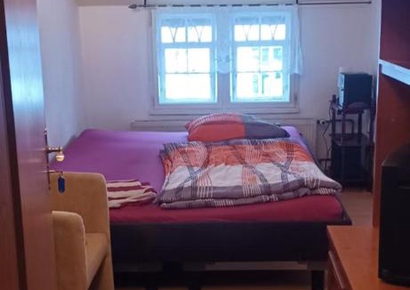 Aue Apartment | Schweizerhaus Aue