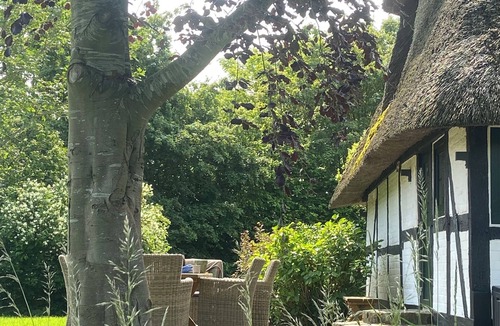 Damp House | Uniquely charming thatched cottage with 900 square meters of land and a view of the Baltic Sea Pure nature