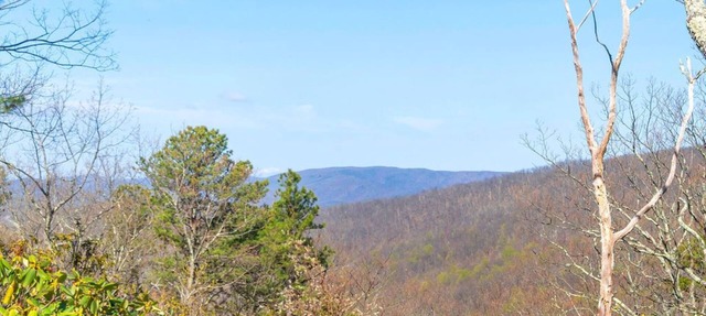 3 Ridges Vista. Stunning mountain views, renovated home, 2 mins to ski slopes in Wintergreen Resort