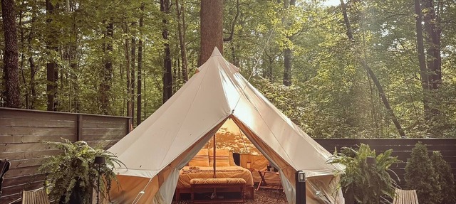 A luxurious glamping tent nestled in the trees. in Denver