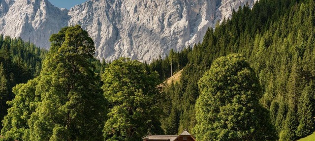 Alpenrose Boutique Chalet - apartment/apartment, bathroom, WC, 3 bedrooms in Ramsau am Dachstein