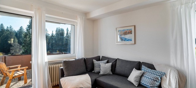 Apartment 1 "Birgit" with Private Terrace and Wi-Fi in Freudenstadt