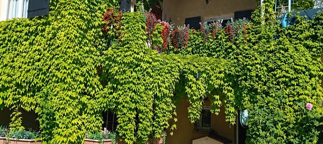 Apartment in Courthézon