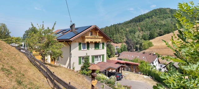 Apartment 'Harter' with Shared Terrace, Shared Garden and Wi-Fi in Wolfach