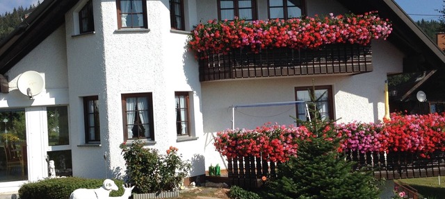 Beautiful, large, comfortable vacation apartment to feel at home in. in Dachsberg (Südschwarzwald)
