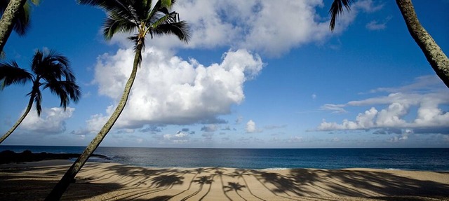 Beautiful North Shore Home at Ke Iki Beach. 30-day minimum bookings. in Haleiwa