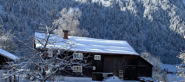 Beautifully renovated farmhouse, dream location in Dalaas