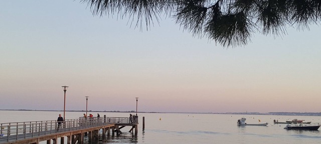 Bed and breakfast in the heart of the Arcachon basin in Audenge