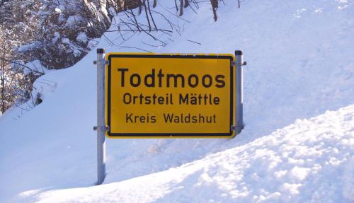 Birke 9, 10 oder 11 in Todtmoos