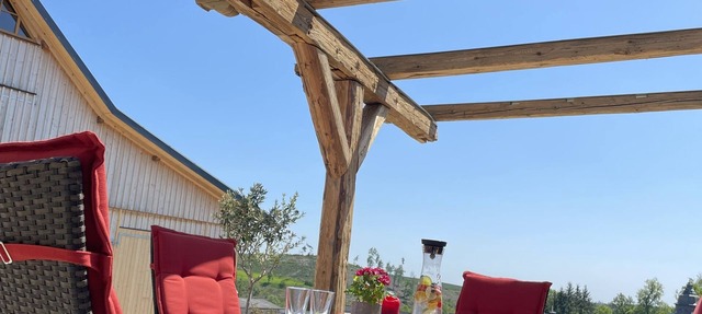 Chalet apartment "Schlossblick", 51 sqm & wellness/fitness/sauna - Bergrödelhof in Feilitzsch