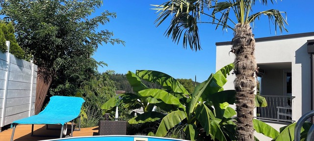 City Chillout Heidelberg, private Apartment with Terrace, Pool, Sauna, Wellness in Heidelberg