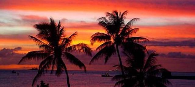 Clean/Chic/Secure Studio, FREE PRIVATE PARKING, LAUNDRY,WIFI, POOL in Honolulu