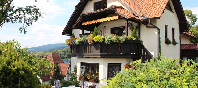 Comfortable apartment with panoramic views of the mountains and the countryside in Frankenblick