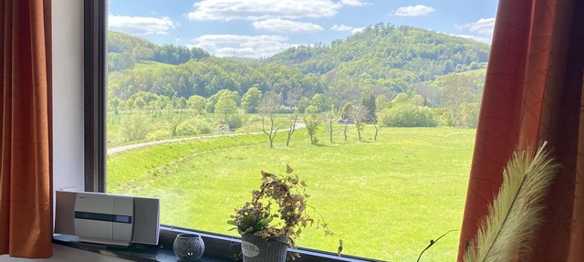Exklusiver Blick ins Grüne in Eisenach