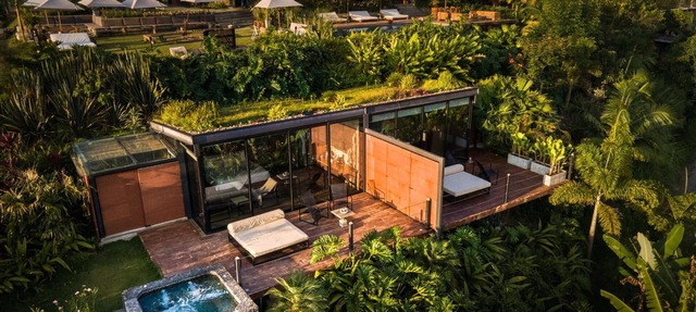 Experience Forest Bliss at Stylish Suite w/Outdoor Terrace | Onsite Pool in Quindio