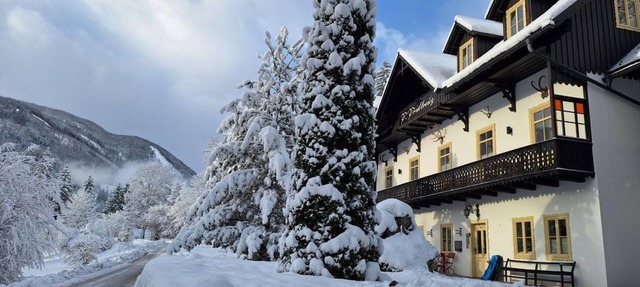 Ferienwohnung Ausblick im Prielkreuz - apartment/apartment, shower, WC, 2 in Hinterstoder