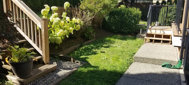 Fraser Heights 3 Br Basement Suite Surrey in Surrey