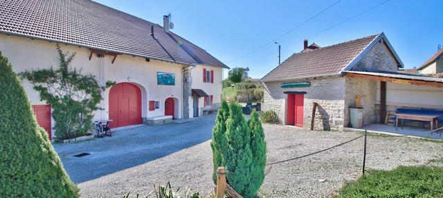 Gite with spa, large 12-bed winter/summer house in Molain