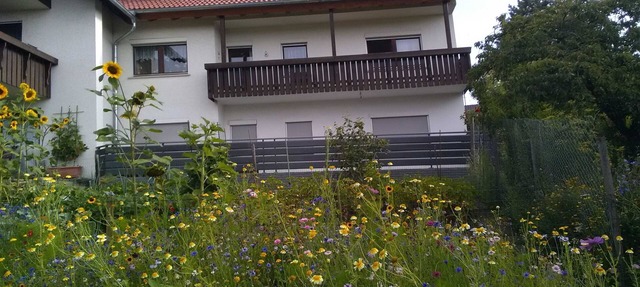 Haus Hinz - 3-zimmer-ferienwohnung Hinz, Dusche/wc, 70 qm, EG in Bermatingen