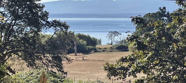 Heron Rocks Lookout: Ocean view studio and patio 10 min walk to beach in Hornby Island