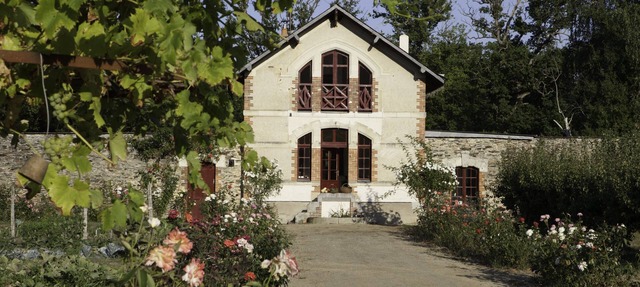 In Anjou in the castle vegetable garden, Peace, flower and vegetable in Marans