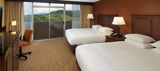 Indoor Swimming Pool, Pets Allowed! Unwind in Gatlinburg's Lap of Comfort! in Gatlinburg