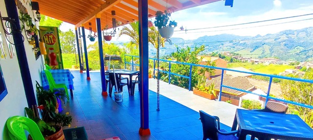 JUHALU in Jericó