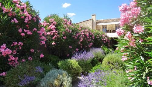 Le Jas de Gordes in Gordes