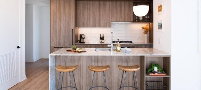Level Spacious one bedroom suite with king bed, walk-in closet, full kitchen. in Chicago