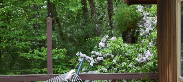 Lindal cedar home located next to Dupont State Recreational Forest. in Cedar Mountain