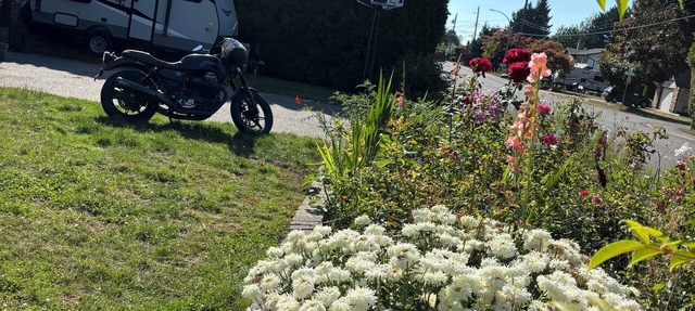 New trailer with queen bed, air-con in Aldergrove, safe &quiet, privacy in Langley Township