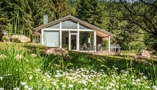 Nice Home In Ruhla With Sauna in Ruhla