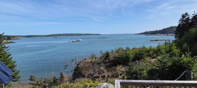 Oceanfront Tiny Home in Beaver Harbour