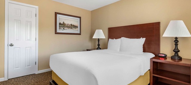 Perfect for Groups! Unit with Full Kitchen, Free Parking, Onsite Pools! in Williamsburg