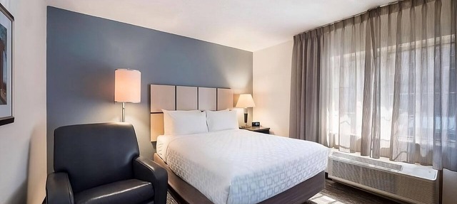 Pet Friendly! Lots of Greenways nearby to walk the dogs! in Charlotte
