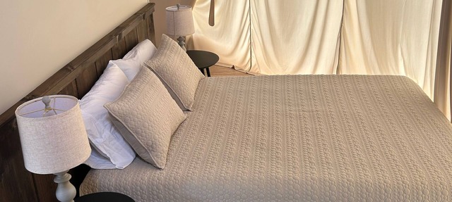 Pilot Mountain Glamping Resort in Pinnacle