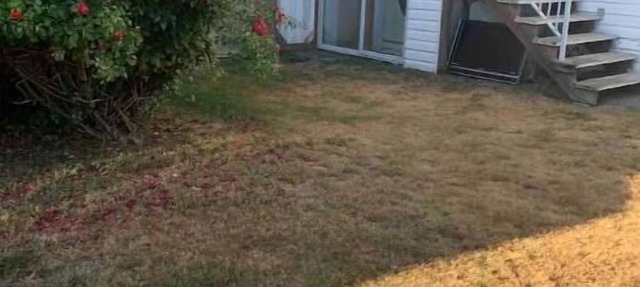 Private suite, separate entrance, central location in Surrey