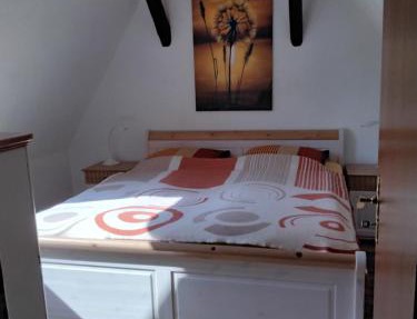 Pusteblume in Groitzsch
