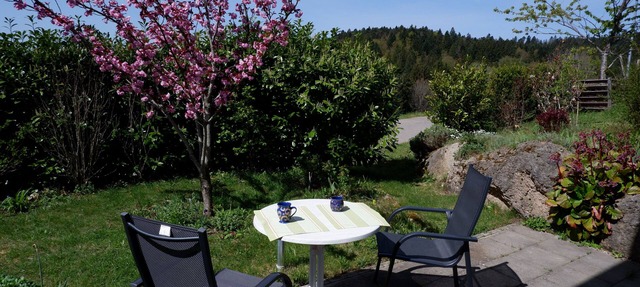 Quiet vacation apartment in the southern Black Forest, 10 minutes from St. Blasien in Dachsberg (Südschwarzwald)