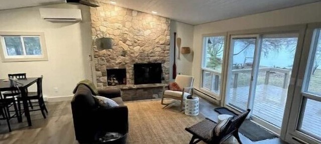 Remodeled Private Lakeside Cabin in Nevis