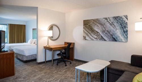 SpringHill Suites Hampton in Hampton