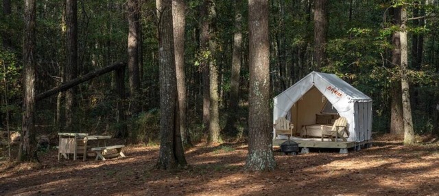 Tentrr State Park Site - Mississippi Roosevelt State Park - Tall Trees D - Sing in Morton