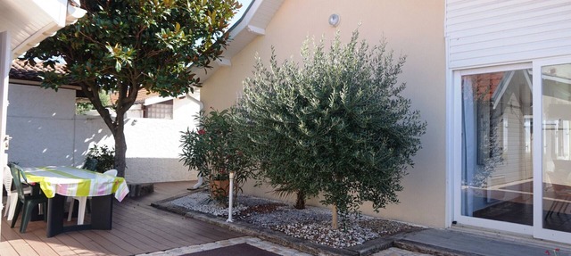 Villa familiale avec chalet proche centre et plage (044) in Biscarrosse