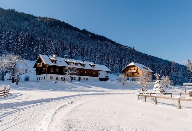Ferienparadies Wiesenbauer in Sankt Michael im Lungau