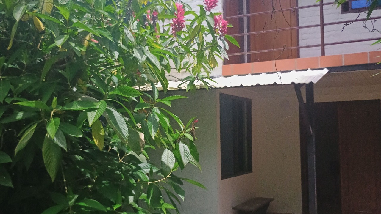 Photo of Outdoor in Dagua